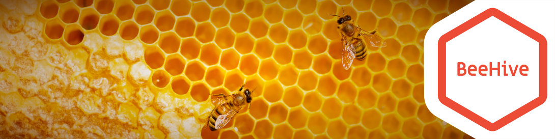 CircHive BeeHive