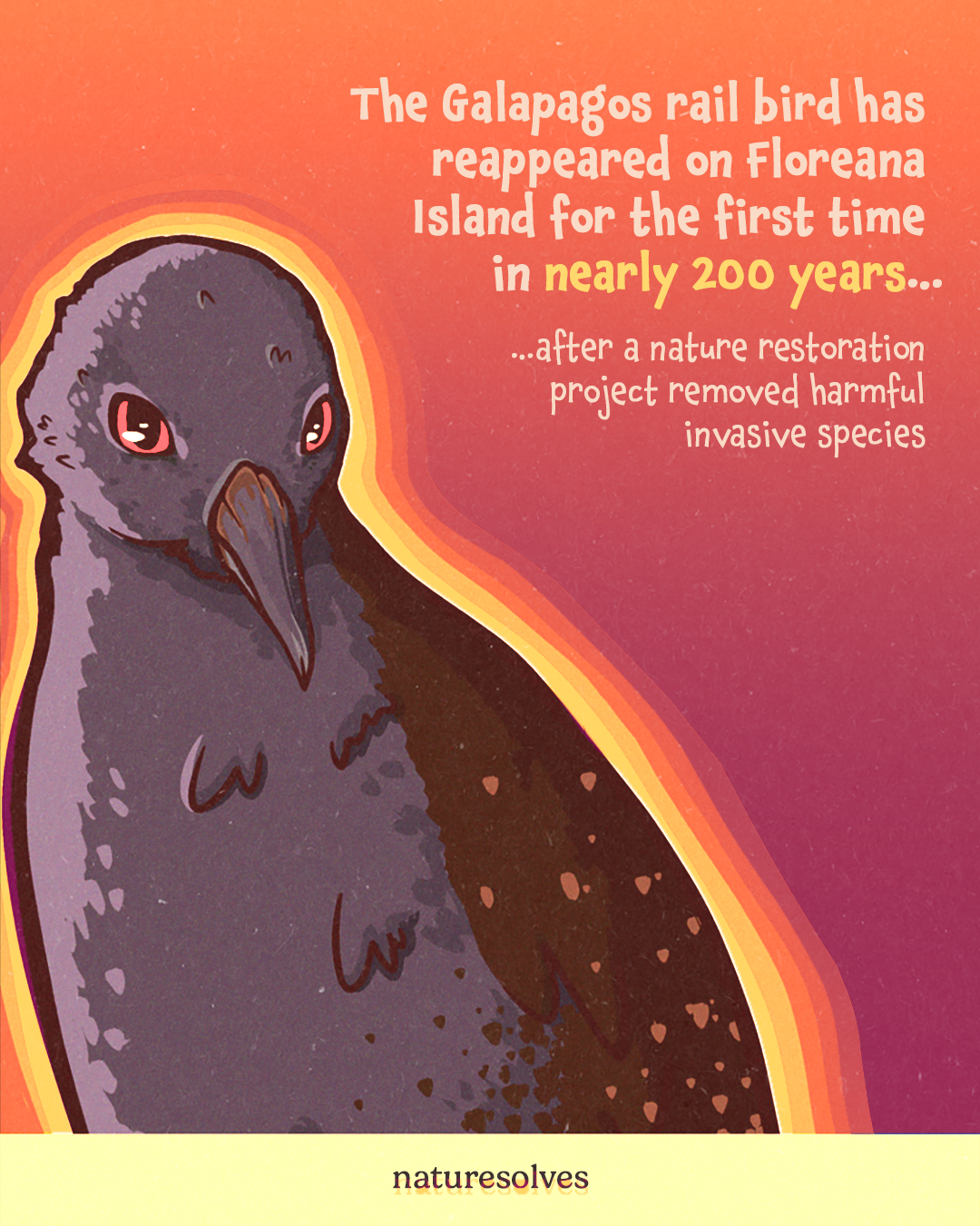 Galapagos bird Nature Solves post