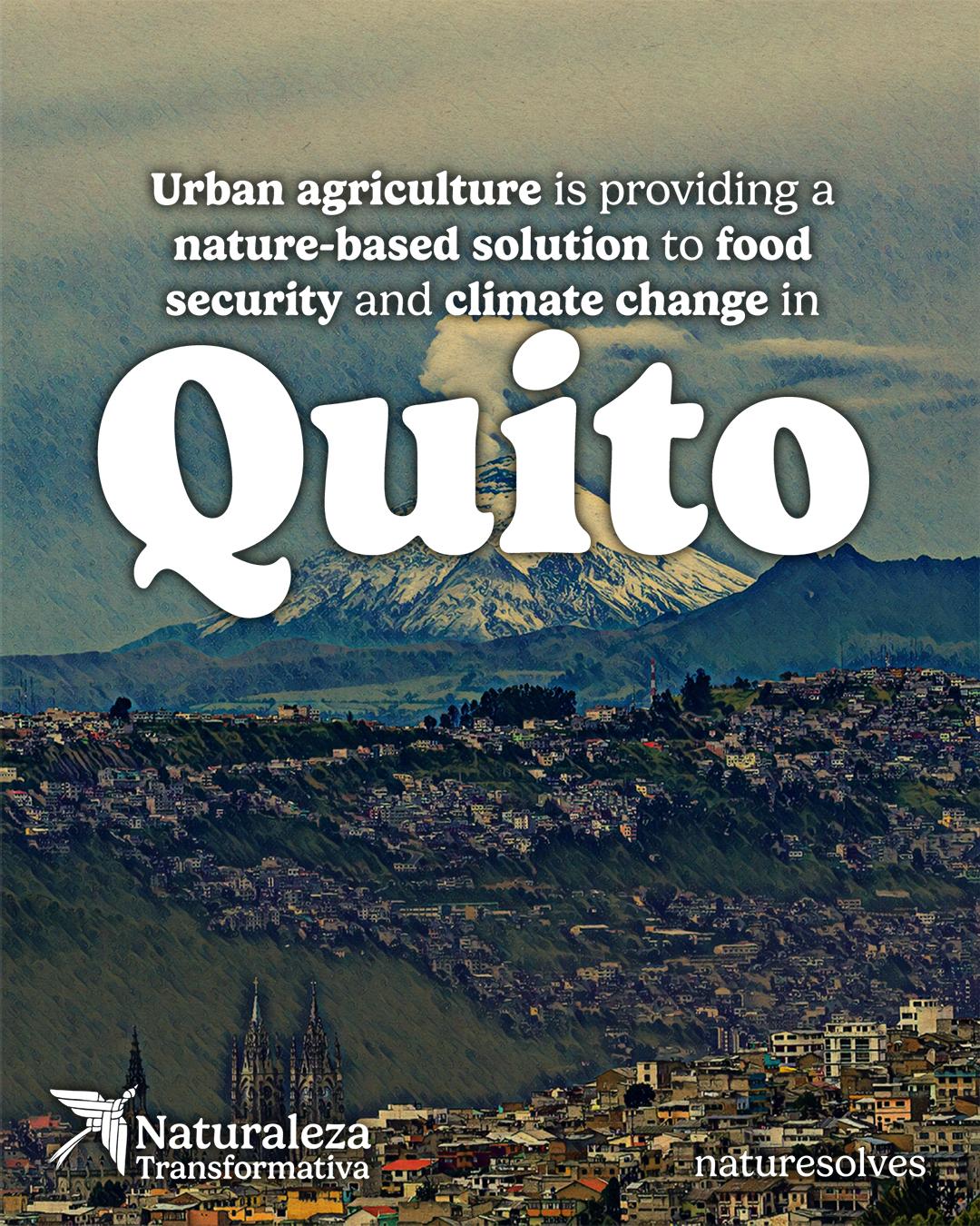Quito case study Nature Solves posts