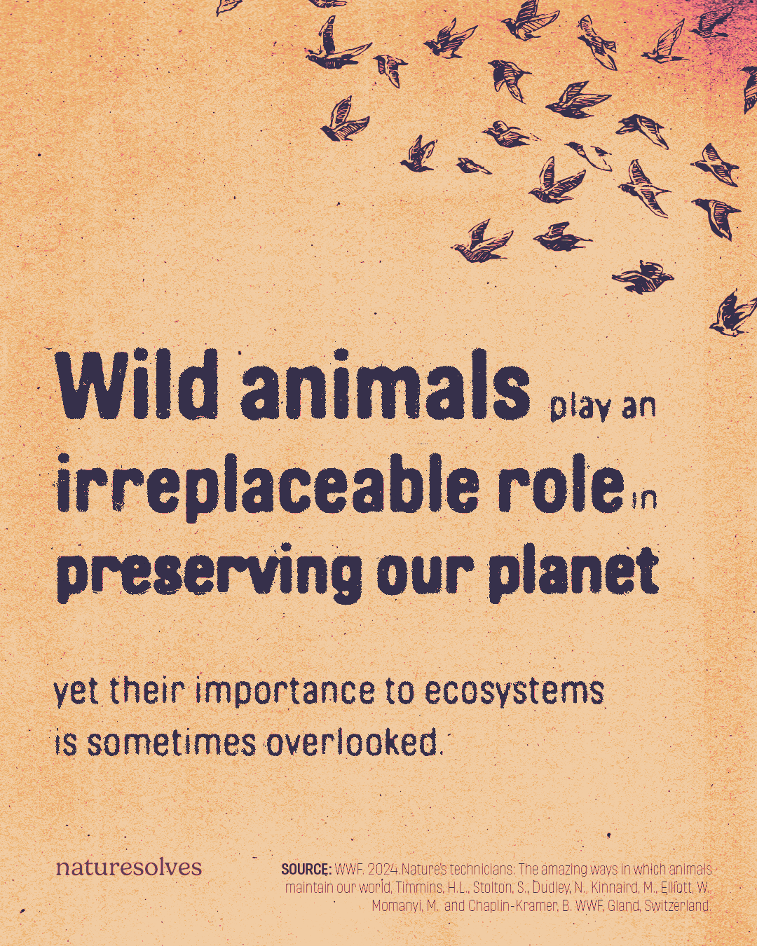 Nature's Technicians report Nature Solves post