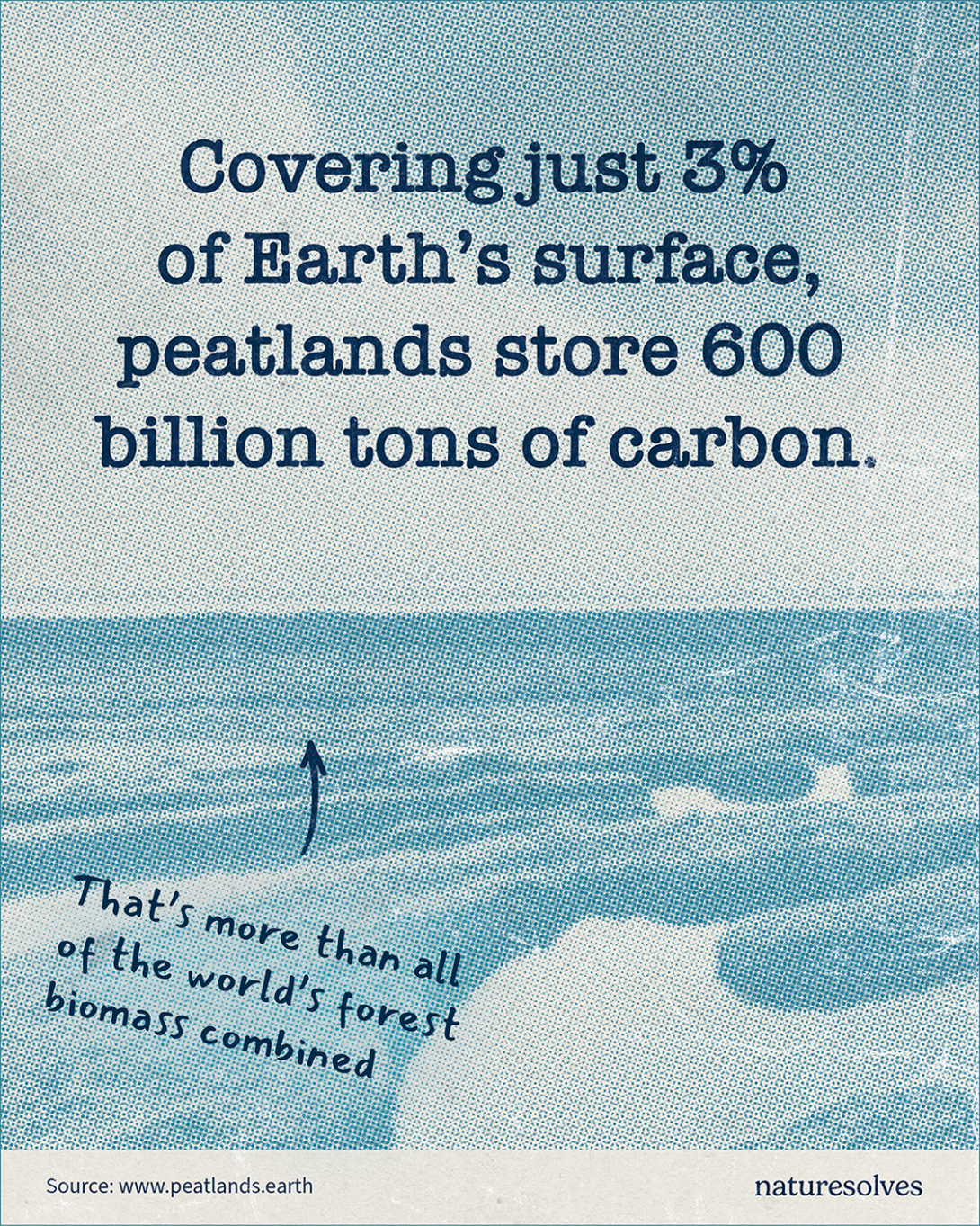 Protecting peatlands Nature Solves post