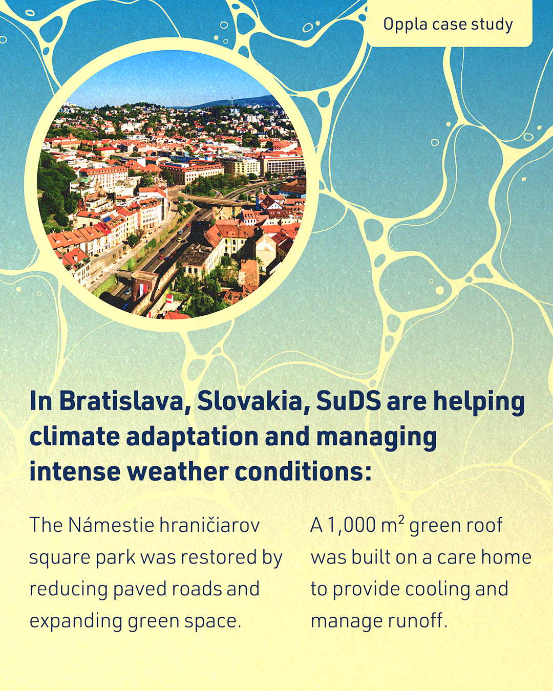 Sustainable urban drainage systems Nature Solves post