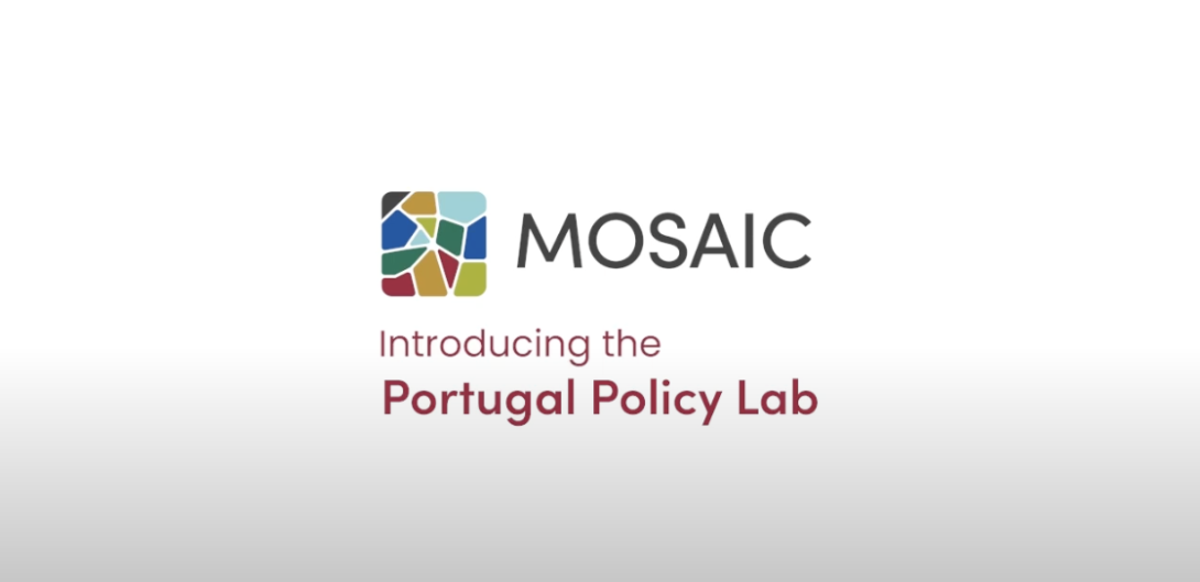 Mosaic Policy Lab portugal thumbnail