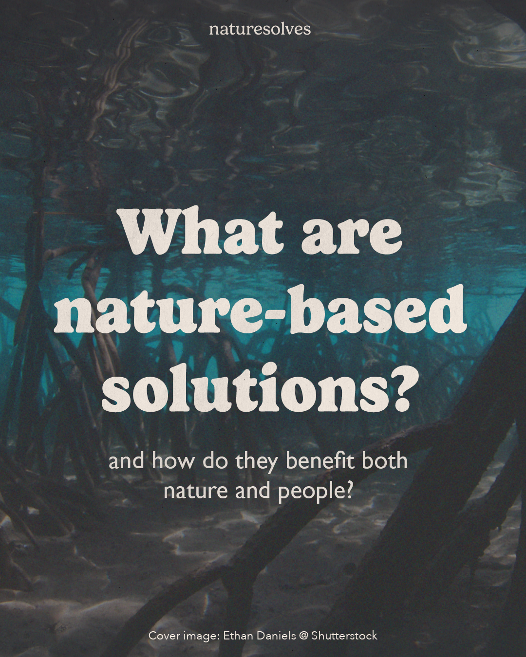 what are nature-based solutions Nature Solves post