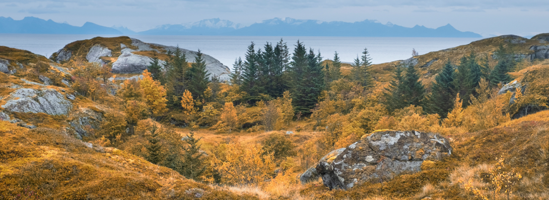 Nordic landscape