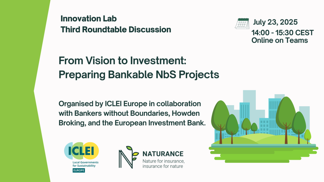 The Innovation Roundtable Discussion: Preparing Bankable NbS Projects