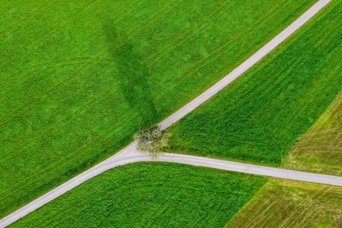 green intersect